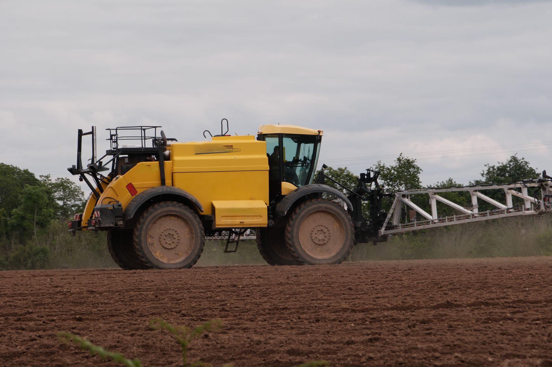 Courtier en travaux à Montauban